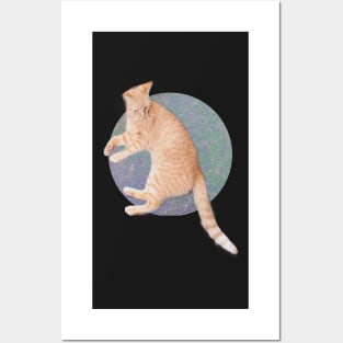 Cat Lounging Posters and Art